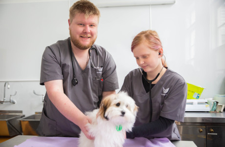 Vet-Nursing-Assistant-11.jpg